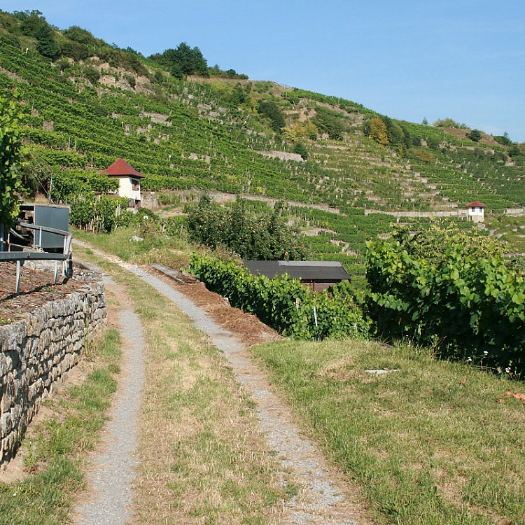 Rosswag Mittlerer Weg. Foto: Bertram Haak